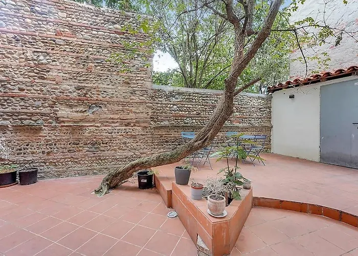 Le Cocon - T2 Cosy Hypercentre Avec Parking *